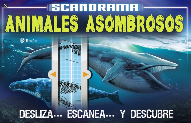 SCANORAMA: Animales asombrosos