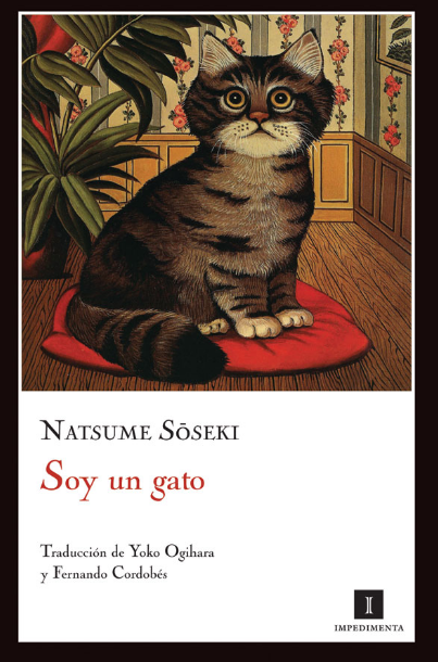SOY UN GATO