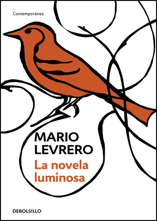 LA NOVELA LUMINOSA