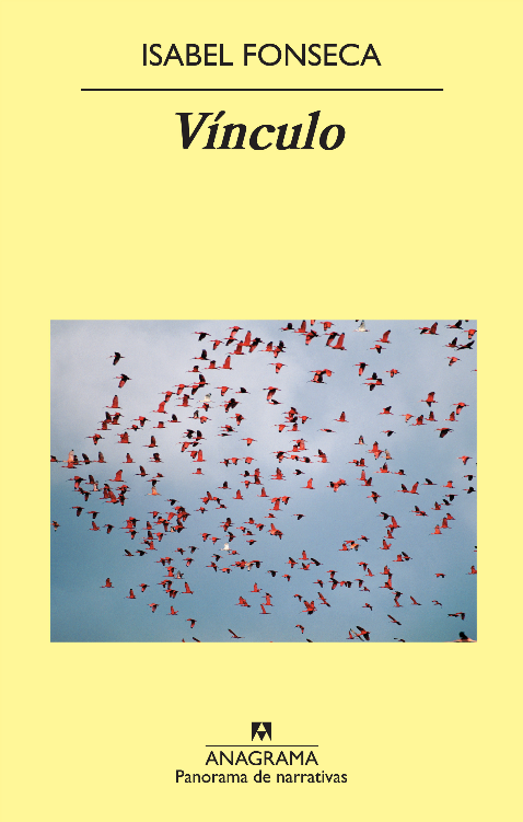 VÍNCULO