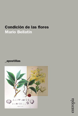 CONDICIÓN DE LAS FLORES