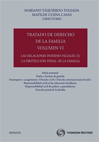TRATADO DE DERECHO DE LA FAMILIA, vol. VI