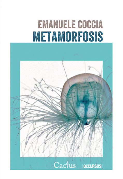 METAMORFOSIS