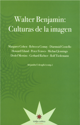 [9789871673193] WALTER BENJAMIN: CULTURAS DE LA IMAGEN