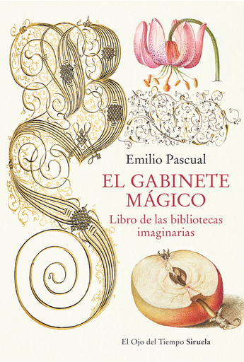 [9788419553041] EL GABINETE MÁGICO