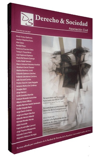 [233] REVISTA DERECHO & SOCIEDAD 28