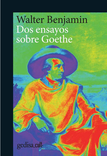[9788417341770] DOS ENSAYOS SOBRE GOETHE