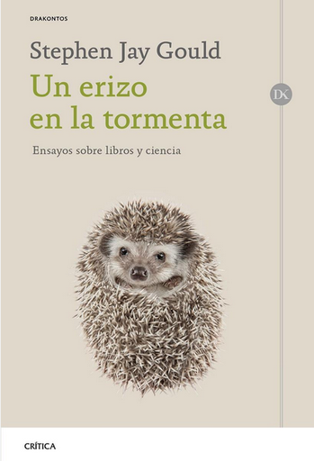 [9788491991472] UN ERIZO EN LA TORMENTA
