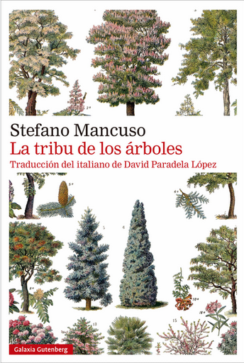 [9788419392510] LA TRIBU DE LOS ÁRBOLES