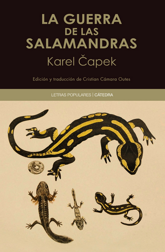 [9788437646466] LA GUERRA DE LAS SALAMANDRAS