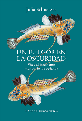 [9788419553119] UN FULGOR EN LA OSCURIDAD