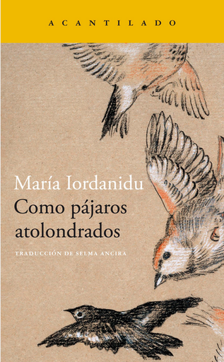 [9788419036704] COMO PÁJAROS ATOLONDRADOS