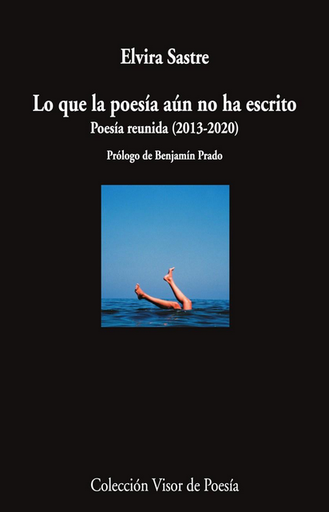 [9788498954920] LO QUE LA POESÍA AÚN NO HA ESCRITO