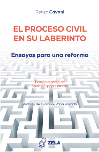 [9786124942129] EL PROCESO CIVIL EN SU LABERINTO