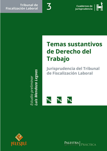 [9786123253288] TEMAS SUSTANTIVOS DEL DERECHO AL TRABAJO
