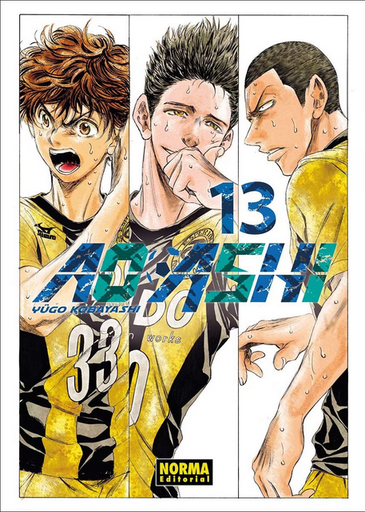 [9788467963328] AO ASHI 13