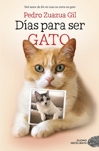 [9788417128524] DÍAS PARA SER GATO