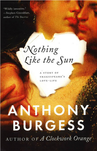[9780393346404] NOTHING LIKE THE SUN