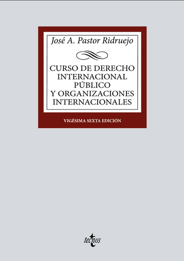[9788430985494] CURSO DE DERECHO INTERNACIONAL PUBLICO Y ORGANIZACIONES INTERNACIONALES