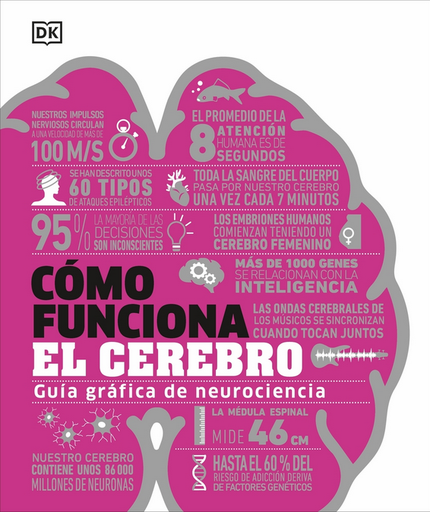 [9780241698907] CÓMO FUNCIONA EL CEREBRO