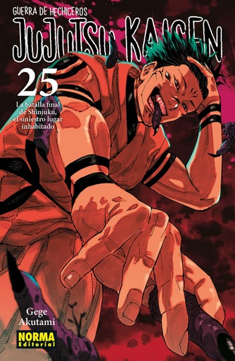 [9788467971743] JUJUTSU KAISEN (Guerra de Hechiceros) 24 (copiar)