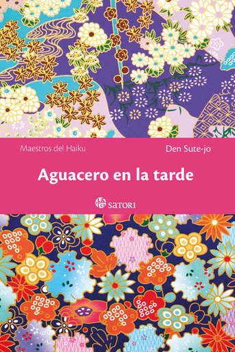 [9788419035752] AGUACERO EN LA TARDE