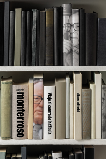 [9788411487696] VIAJE AL CENTRO DE LA FÁBULA