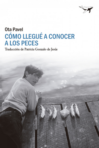 [9788412619447] CÓMO LLEGUÉ A CONOCER A LOS PECES
