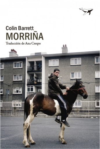 [9788412619423] MORRIÑA