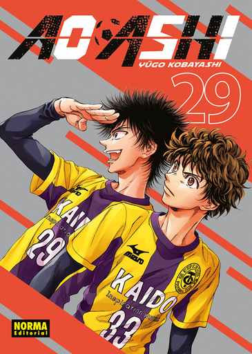 [9788467973044] AO ASHI 29