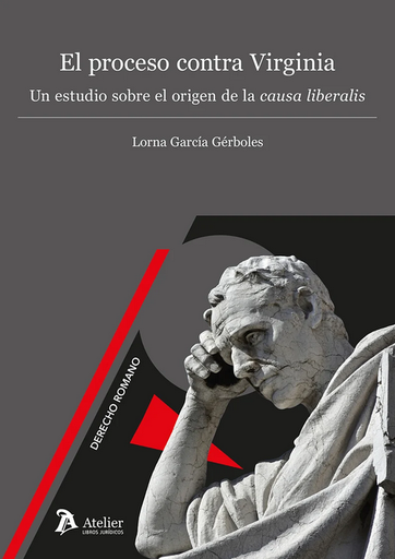 [9788410174399] EL PROCESO CONTRA VIRGINIA