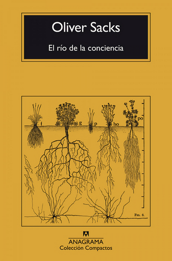 [9788433946867] EL RÍO DE LA CONCIENCIA