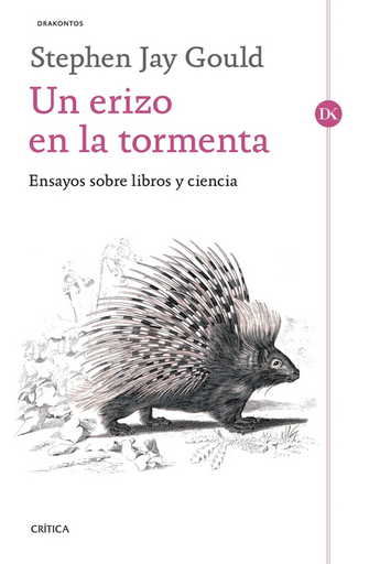 [9788491997641] UN ERIZO EN LA TORMENTA