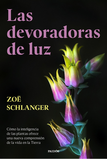 [9788449343742] LAS DEVORADORAS DE LUZ