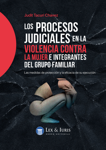 [9786124334498] LOS PROCESOS JUDICIALES EN LA VIOLENCIA CONTRA LA MUJER E INTEGRANTES DEL GRUPO FAMILIAR