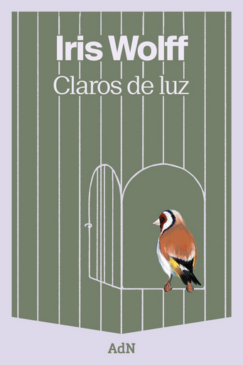 [9788410138940] CLAROS DE LUZ