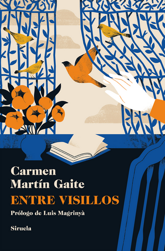 [9788410415317] ENTRE VISILLOS
