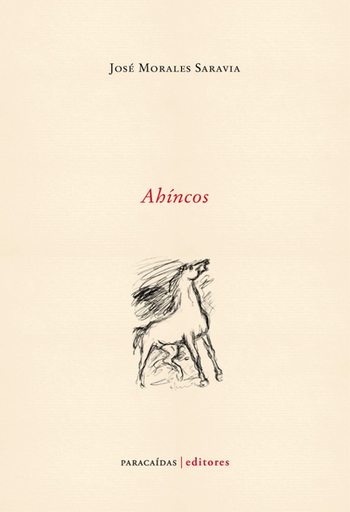 [9786124405563] AHÍNCOS