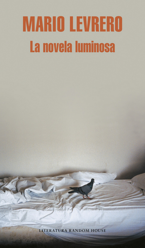 [9788439721390] LA NOVELA LUMINOSA