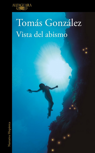 [9788410299443] VISTA DEL ABISMO