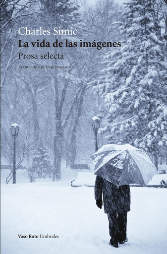 [9788494740107] LA VIDA DE LAS IMÁGENES
