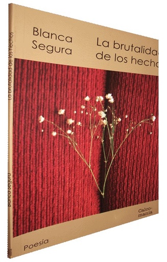 [9786124597510] LA BRUTALIDAD DE LOS HECHOS