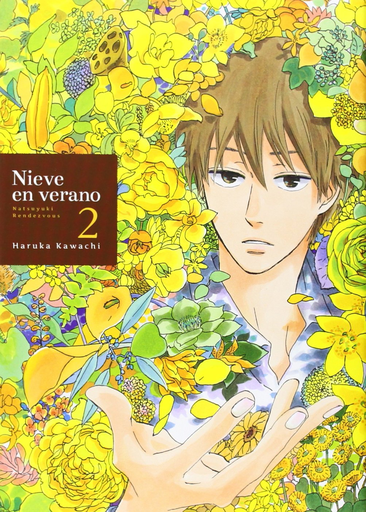 [9788416188017] NIEVE EN VERANO 02
