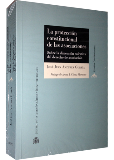 [9788425915871] LA PROTECCIÓN CONSTITUCIONAL DE LAS ASOCIACIONES
