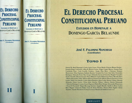 [9972040747] EL DERECHO PROCESAL CONSTITUCIONAL PERUANO