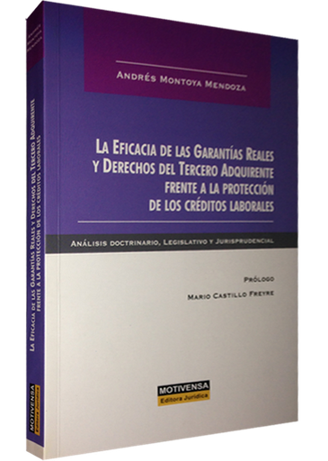 [9786124560927] LA EFICACIA DE LAS GARANTÍAS REALES Y DERECHOS DEL TERCERO ADQUIRIENTE FRENTE A LA PROTECCIÓN DE LOS...