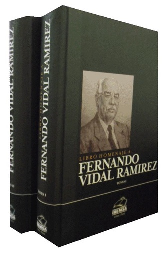 [9786124037306] LIBRO HOMENAJE A FERNANDO VIDAL RAMIREZ