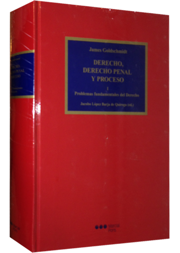 [9788497687539] DERECHO, DERECHO PENAL Y PROCESO, I