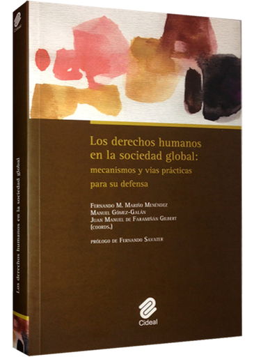 [9788487082498] LOS DERECHOS HUMANOS EN LA SOCIEDAD GLOBAL