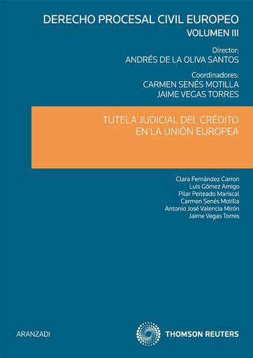 [9788499038087] TUTELA JUDICIAL DEL CRÉDITO EN LA UNIÓN EUROPEA